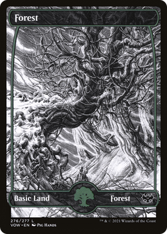 Forest (276) [Innistrad: Crimson Vow] foil - Deck Out Gaming