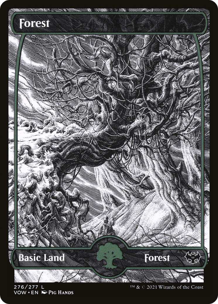 Forest (276) [Innistrad: Crimson Vow] - Deck Out Gaming