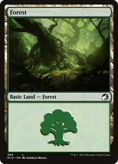 Forest (384) [Innistrad: Midnight Hunt] - Deck Out Gaming