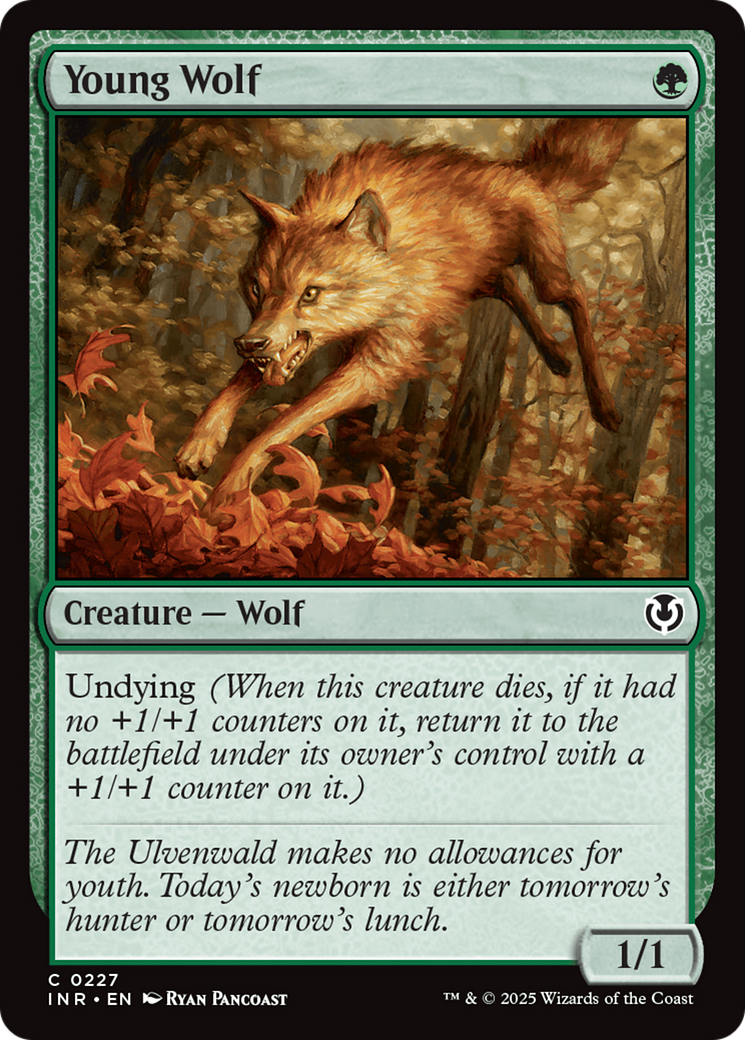 Young Wolf (227) [Innistrad Remastered] - Deck Out Gaming