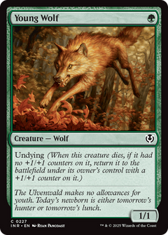 Young Wolf (227) [Innistrad Remastered] - Deck Out Gaming