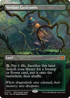 Verdant Catacombs (Borderless) (113) [Special Guests] foil - Deck Out Gaming