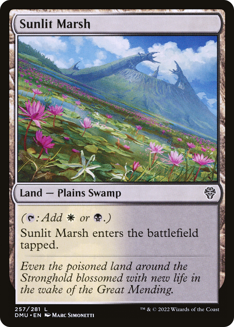Sunlit Marsh (257) [Dominaria United] - Deck Out Gaming