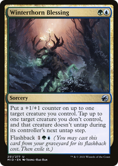 Winterthorn Blessing (251) [Innistrad: Midnight Hunt] - Deck Out Gaming