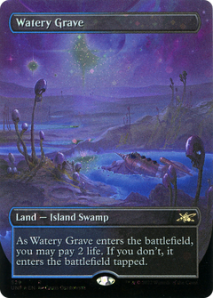 Watery Grave (Borderless) (Galaxy Foil) (529) [Unfinity] foil - Deck Out Gaming