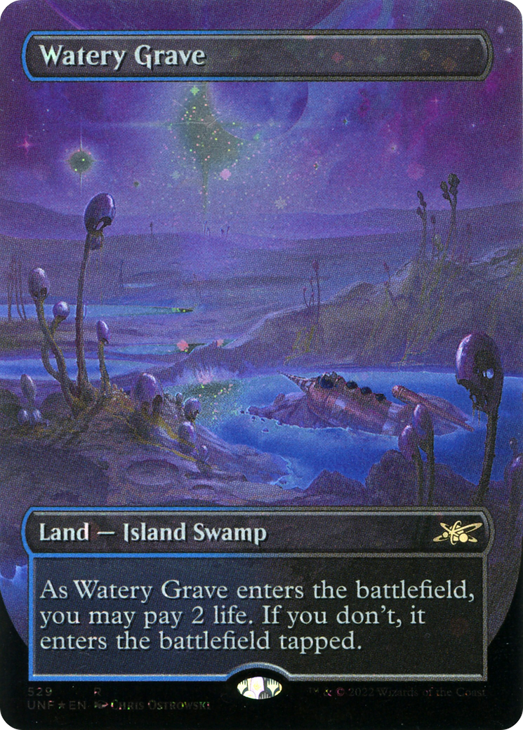 Watery Grave (Borderless) (Galaxy Foil) (529) [Unfinity] foil - Deck Out Gaming