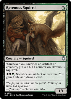 Ravenous Squirrel (258) [Bloomburrow Commander] - Deck Out Gaming