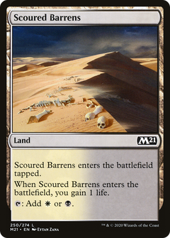 Scoured Barrens (250) [Core Set 2021] - Deck Out Gaming