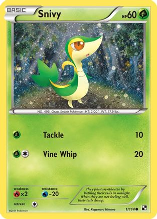 Snivy (1/114) (Cosmos Holo) [Black & White: Base Set] - Deck Out Gaming