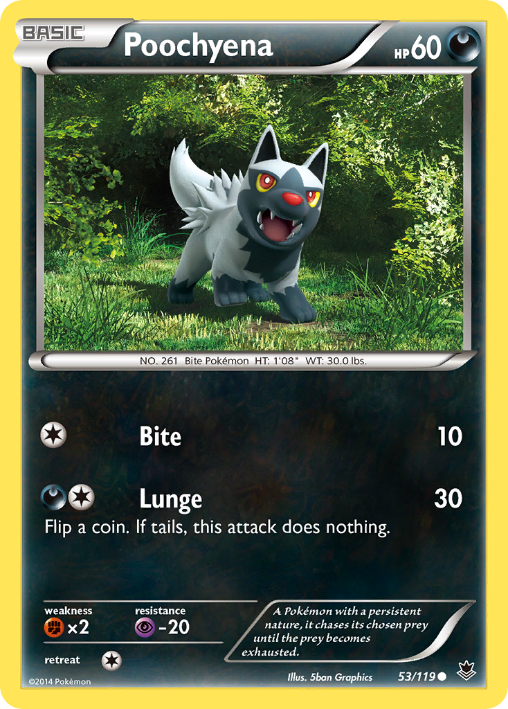 Poochyena (53) [XY - Phantom Forces] - Deck Out Gaming