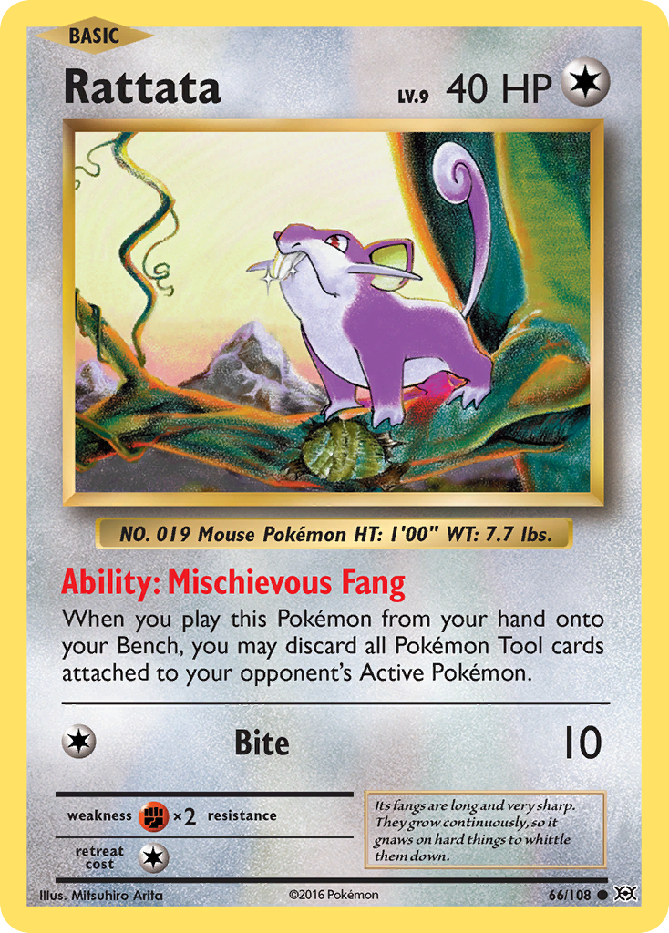 Rattata (66) [XY - Evolutions] - Deck Out Gaming