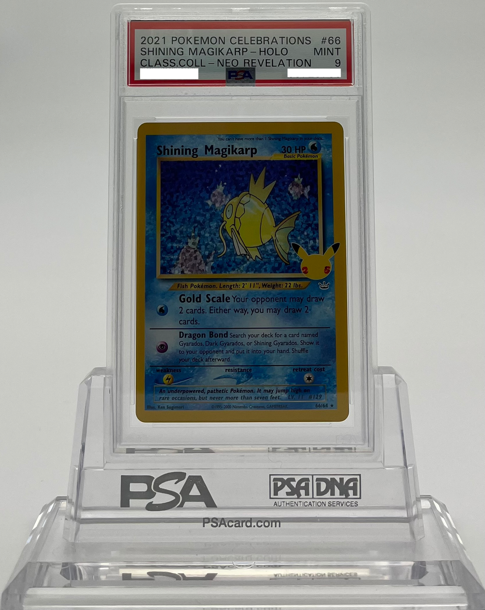 Shining Magikarp - Celebrations Classic Collection - 66 - PSA 9 - Deck Out Gaming